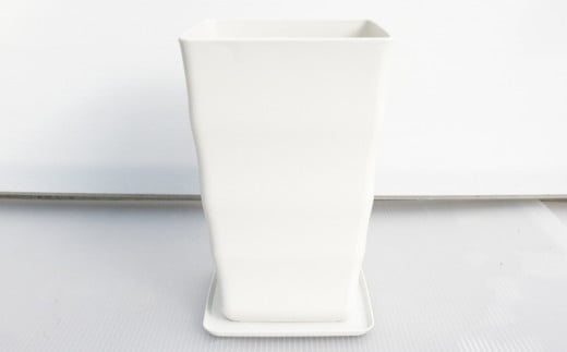 沖縄の観葉植物 人気のフィカス　フランスゴム7号　角鉢