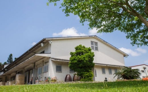 守禮44度シュロ巻壷【いちまん焼】２升壷3.6L