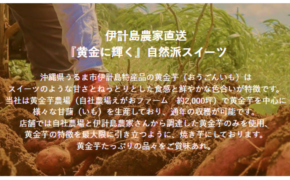 黄金芋スイーツセット【いもぽき&フィナンシェ】