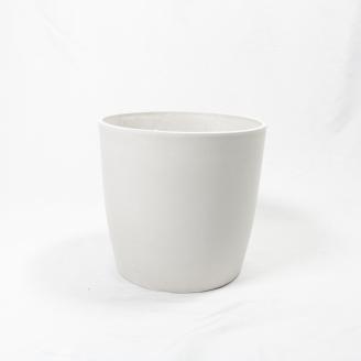 沖縄の観葉植物 人気のフィカス ウンベラータ6号 シュエット鉢ポット