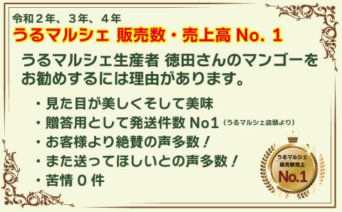 【ふるさと納税】徳田さんの最高級贈答用マンゴー　大玉4〜5個　【 先行予約 2026年発送 】　贈答用　最高級　美しい　美味　沖縄県産　アップルマンゴー
