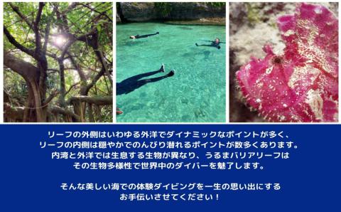 神様を感じる島「浜比嘉島」でスノーケリング（1名様）