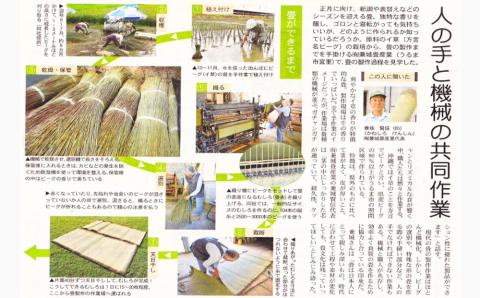 寝ゴザ　い草マット【照間ビーグ】80cm×190cm