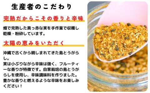 沖縄島とん満足セット【古謝ぐゎー商店】