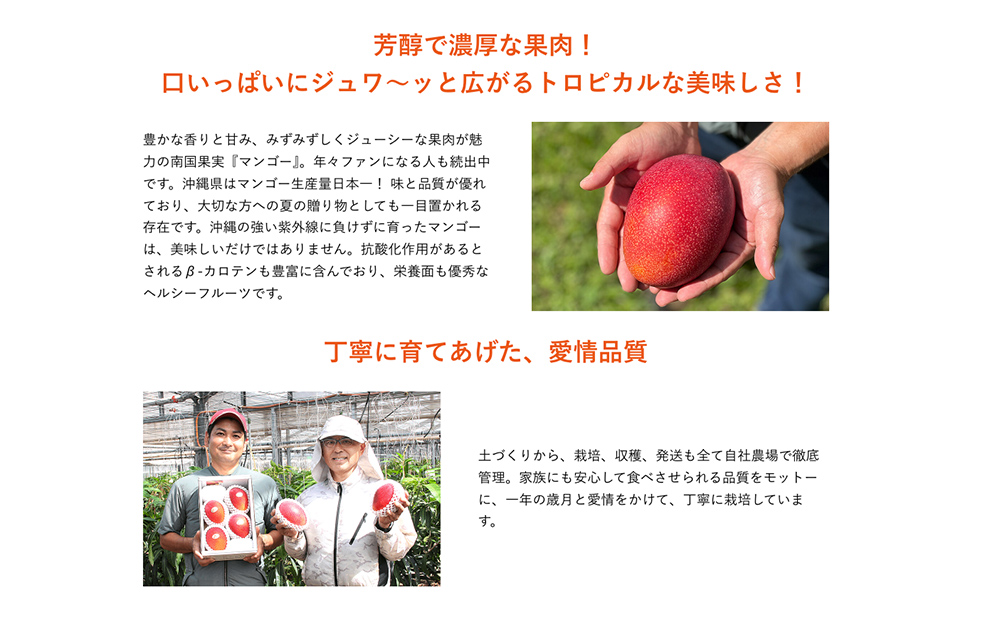 最高級マンゴー　宝珠２kg【熱帯資源植物研究所】