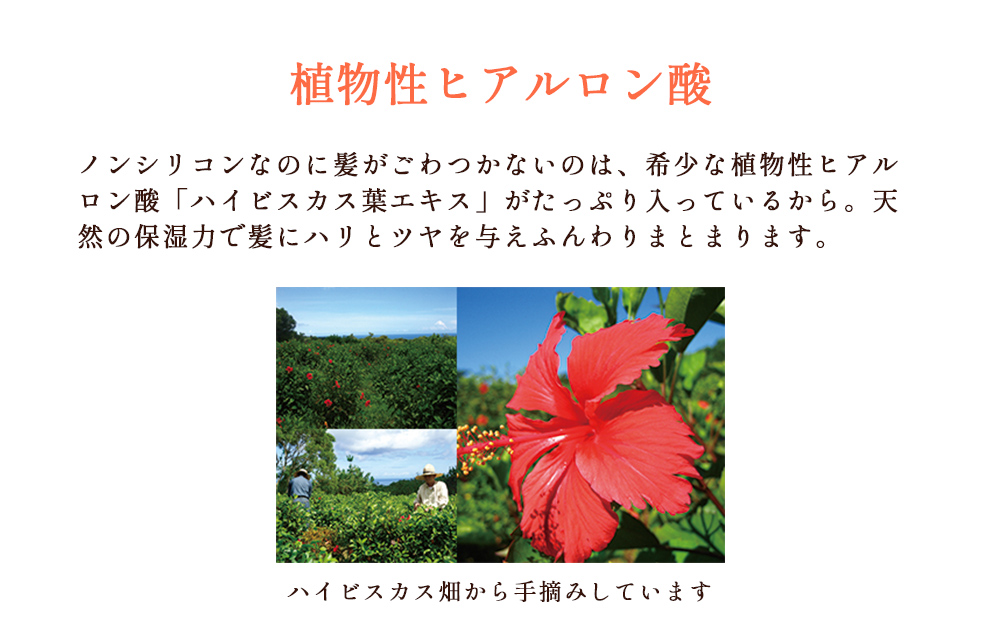 塩とハイビスカス「リュウミネシャンプー」×1本