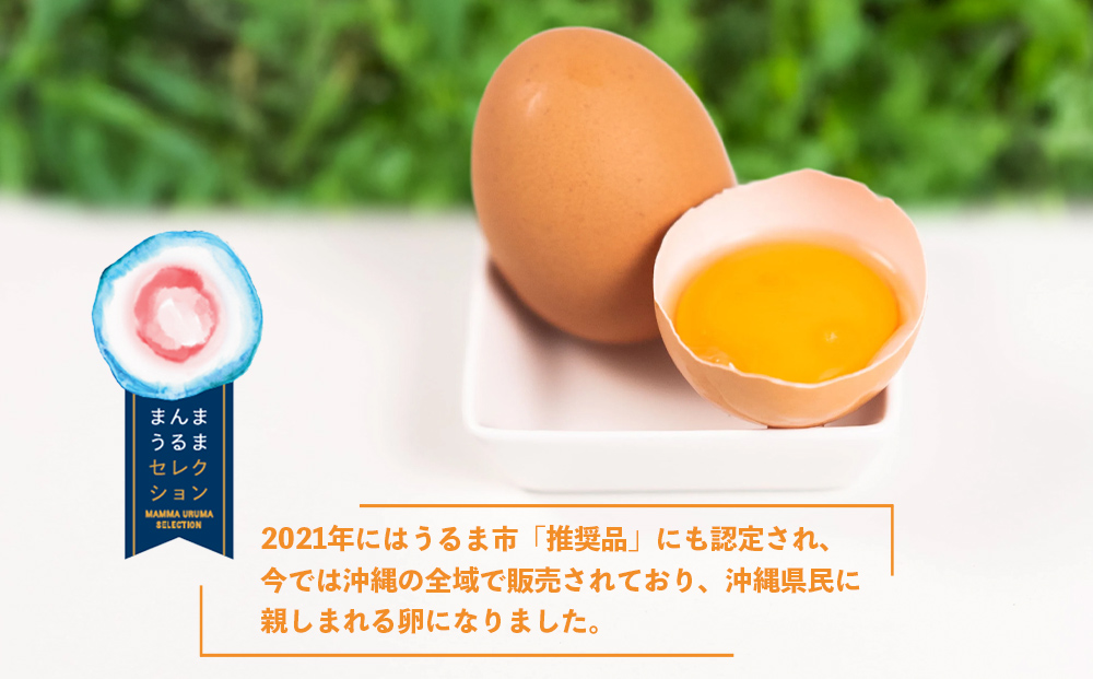 黄金（くがに）セット《くがにたまご物語＋くがにたまご6個入り×2》