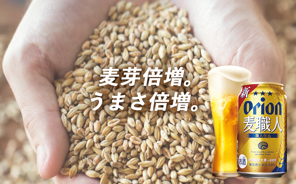 オリオンビール　オリオン　麦職人（350ml×24缶）☆