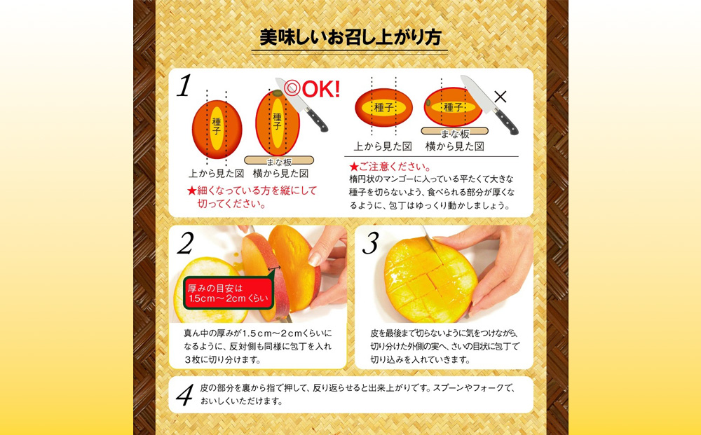 沖縄県 うるま市産 完熟 マンゴー 秀品 約800g【2026年発送】