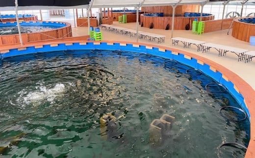 釣って見つけるぼうけんの国 うるまBBQガーデン　入場チケットBBQ付