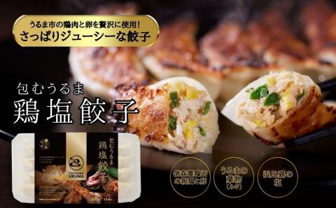 包むうるま餃子 4種セット（島餃子・鶏塩餃子・チャンプルー餃子・車海老餃子）