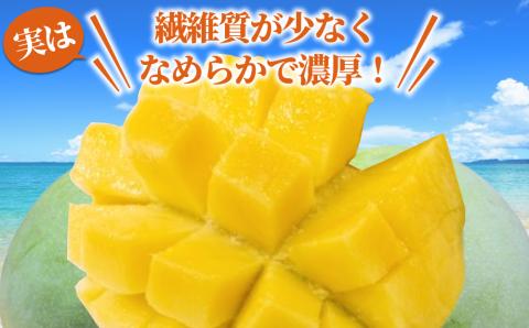 おじーのこだわりキーツマンゴー（約1.5Kg）【2025年発送】