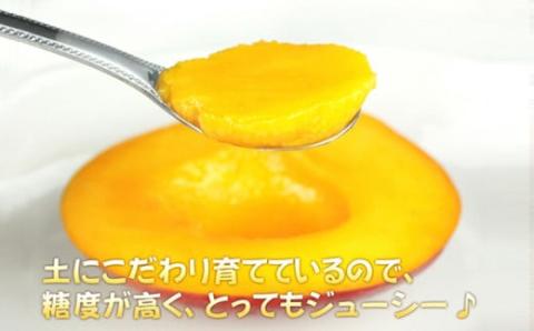 【 先行予約 2026年発送 】マンゴランのこだわりマンゴー秀品1キロ贈答用【極上！糖度１５度以上！】