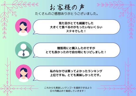 高品質マンゴー 秀品 約1kg（2～3玉）【かっちん南風原マンゴー園】【 先行予約 2026年発送 】