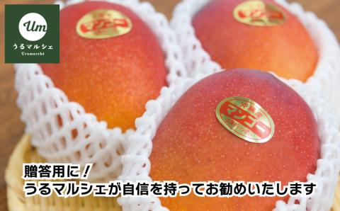 【ふるさと納税】【希少な大玉５００g】徳田さんの極上贈答用マンゴー　大玉2個１kg【 先行予約 2026年発送 】アップルマンゴー　マンゴー　極上　贈答用　沖縄県産