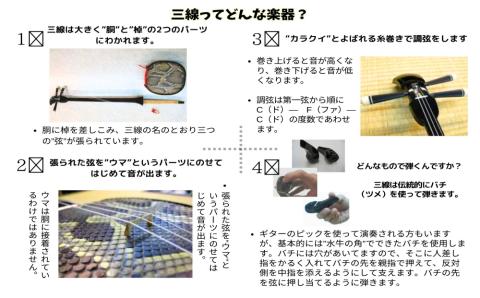 本蛇皮強化張り三線ソフトケースセット【新垣三線店】