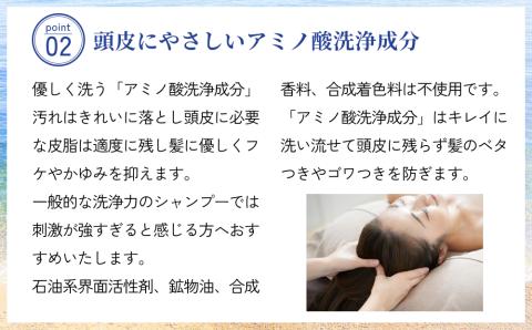 塩とハイビスカスのシャンプー「ぬち髪」×12本（1年分）