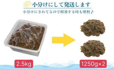 【ふるさと納税】生産量日本一！うるま市勝連産の生もずく（お徳用）2.5kg　生もずく　沖縄　手軽　贈り物　冷凍　天ぷら　沖縄そば　ミネラル　海　沖縄　うるま市　勝連　海藻