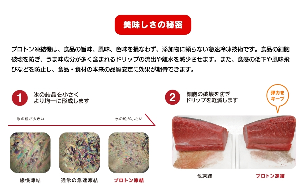 【アンリッシュ食品工業】プロトン凍結機PF-15C 業務用