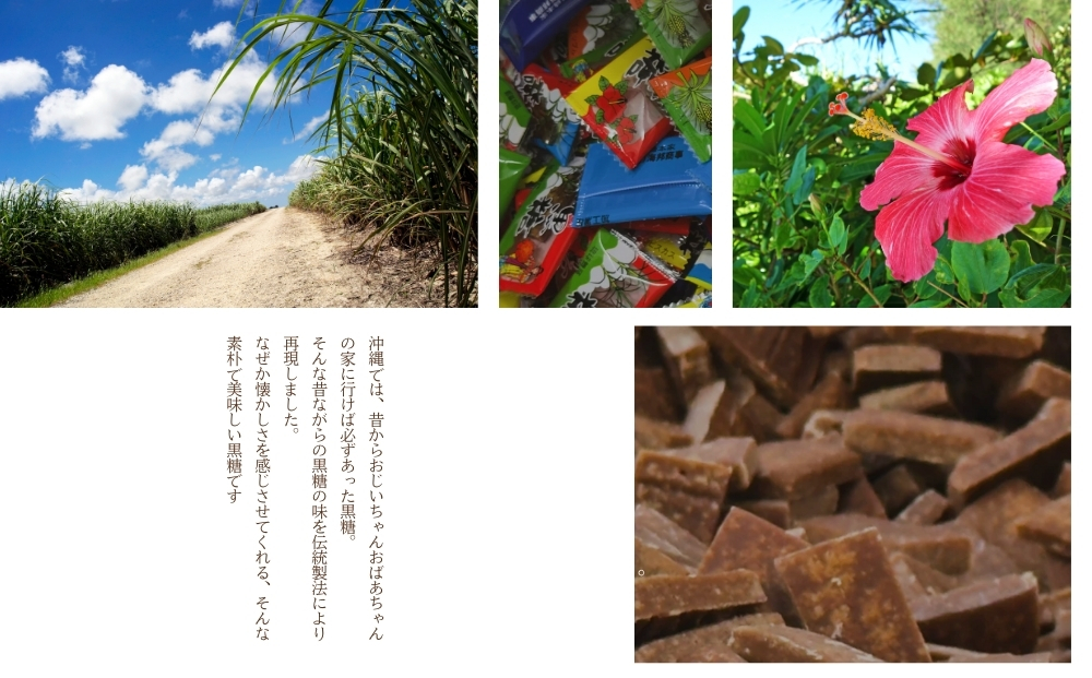 沖縄の黒糖【ハイビスカス黒糖】10袋セット