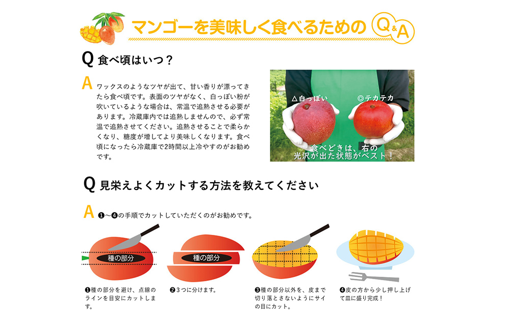 高級マンゴー　極１kg【熱帯資源植物研究所】