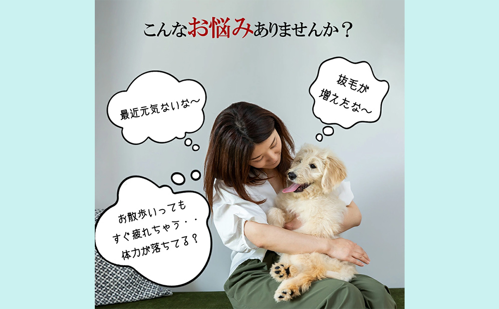 ドッグフード 熟成肉ジャーキー 3袋入り