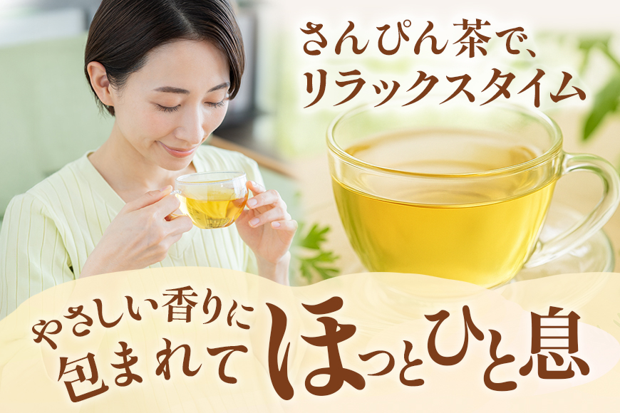 琉球ビバレッジ さんぴん茶 ペットボトル 500ml×24本