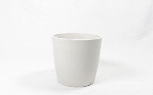 沖縄の観葉植物　人気のフィカス ウンベラータ8号 シュエット鉢ポット