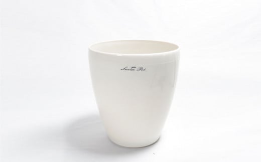 沖縄の観葉植物　人気のフィカス　ウンベラータ10号 ラスターポット