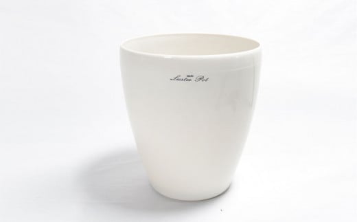 沖縄の観葉植物 人気のフィカス アルテシマ6号 ラスターポット