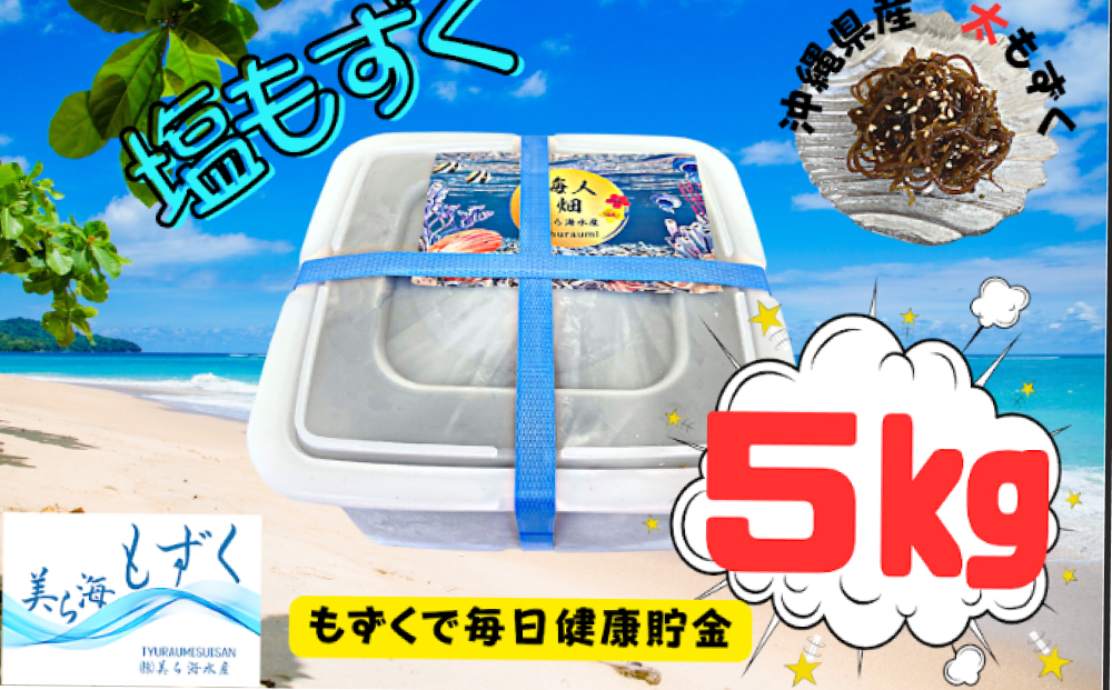 【美ら海水産】塩もずく（約5kg）