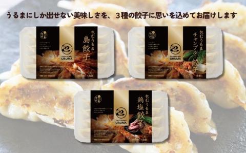 包むうるま餃子 3種セット（島餃子・鶏塩餃子・チャンプルー餃子）