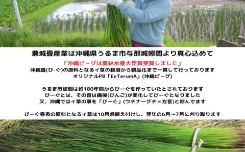 【ふるさと納税】たたみコースター　5枚セット　いぐさ　ビーク　うるま市　沖縄　琉球畳　畳　かわいい　コースター　和風