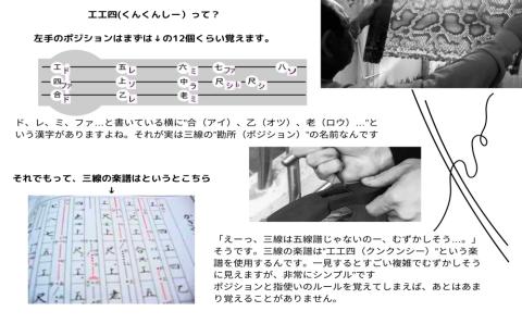 本蛇皮強化張り三線ソフトケースセット【新垣三線店】