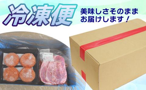 大容量！沖縄県産豚スライス2.5キロとジューシーハンバーグ800グラムセット　県産　豚肉　大容量　豚肉　スライス肉　肉　ハンバーグ　ジューシー　沖縄　うるま市
