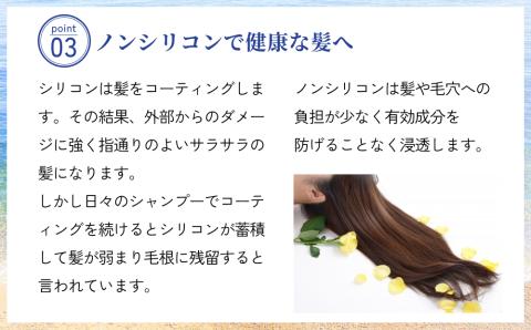 塩とハイビスカスのシャンプー「ぬち髪」×2本