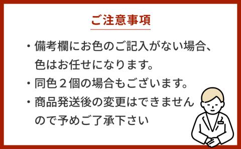 【琉球ガラス工房　三ツ星】色が選べる　琉球ガラス　気泡入りタンブラーグラスペアセット　ガラス製　沖縄　グラス　コップ　伝統工芸　吹きガラス　うるま市　シンプル　スタイリッシュ　タンブラー