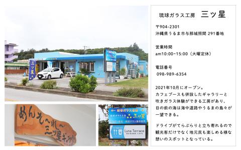 【琉球ガラス工房　三ツ星】クリアプレート　１枚　おしゃれ　手作り　ガラス　サラダ　魚料理　肉料理　スナック　沖縄　伝統工芸　吹きガラス　うるま市　シンプル　スタイリッシュ