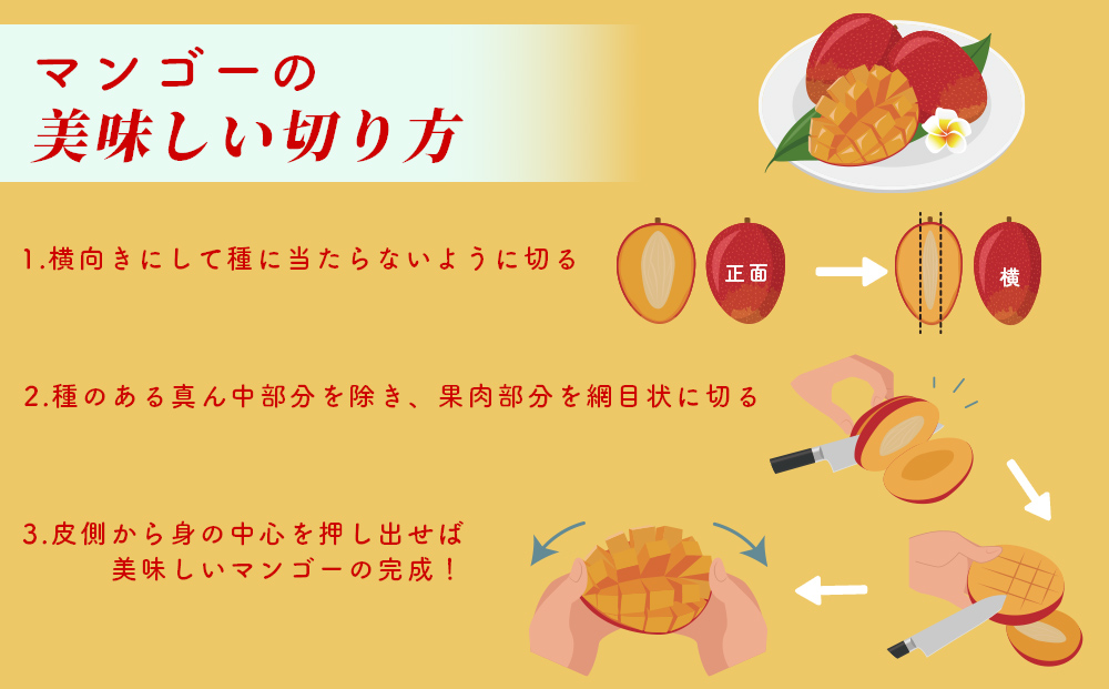 沖縄県産 贈答用マンゴー 1.5kg【 先行予約 2026年発送 】マンゴー 濃厚 甘い ジューシー 南国 フルーツ 果物 産地直送 プレゼント 贈り物 国産 お取り寄せ 沖縄 うるま市