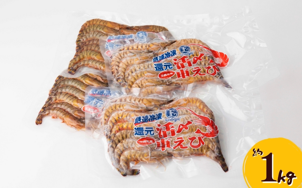 活〆還元車えび（急速冷凍・1Kg）【エナジック車海老養殖場】