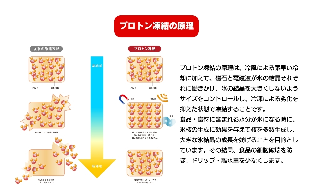 【アンリッシュ食品工業】プロトン凍結機PF-15C 業務用