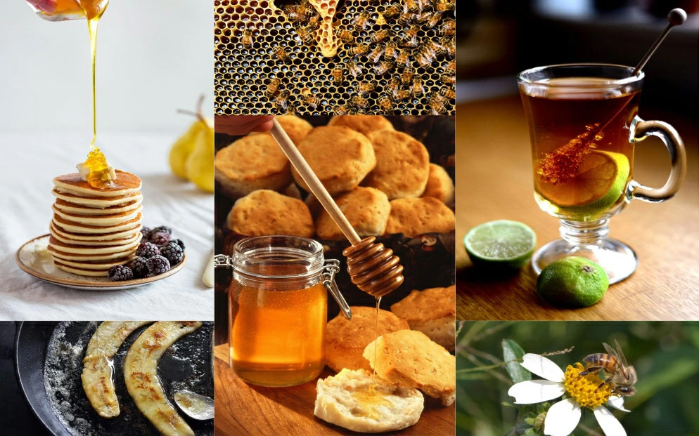 うるま市で採れた「サシ草はちみつ」500g×2本セット