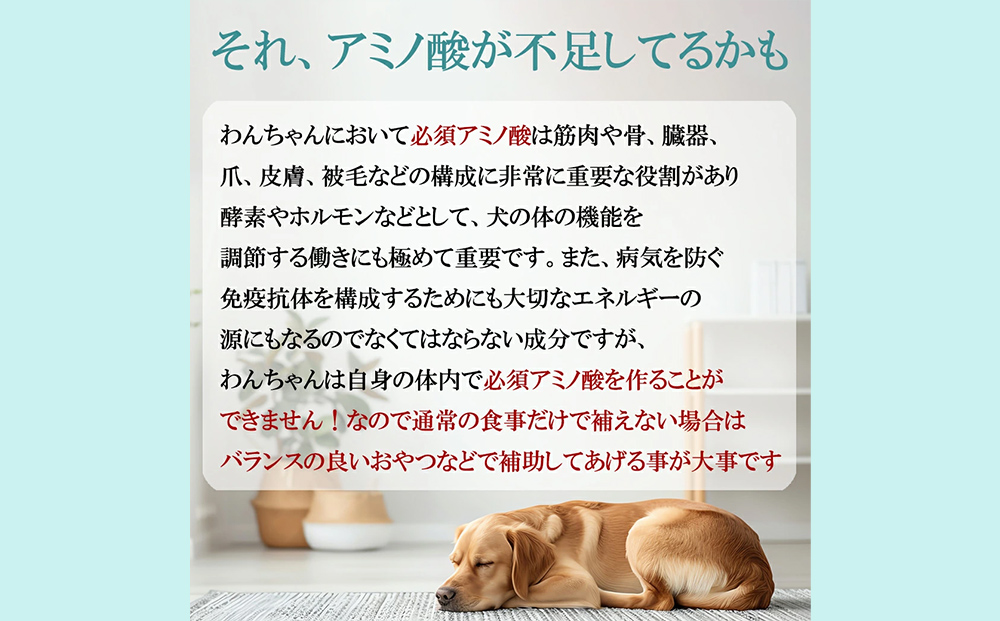 ドッグフード 熟成肉ジャーキー 3袋入り