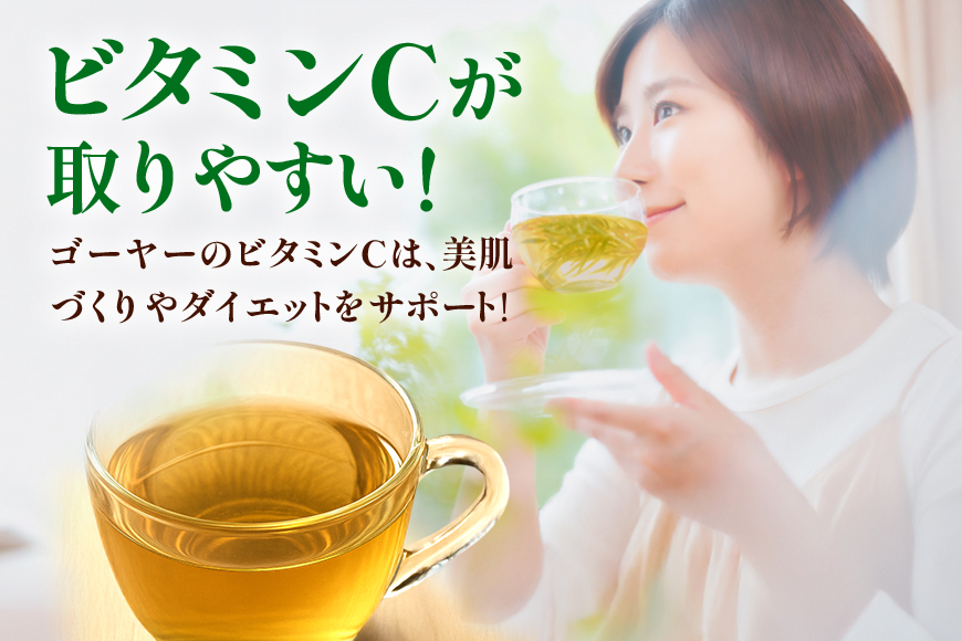 琉球ビバレッジ ごーやー茶 お茶 ゴーヤ にがうり すっきり 健康茶