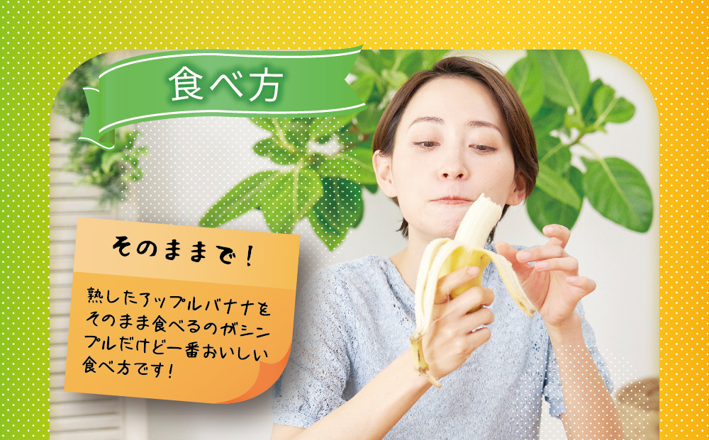うるま市産アップルバナナ（約1.5kg前後）　【2025年発送】