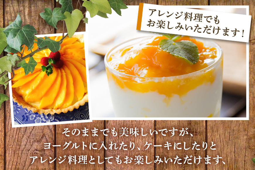 訳ありマンゴー 1kg 【 先行予約 2026年発送 】