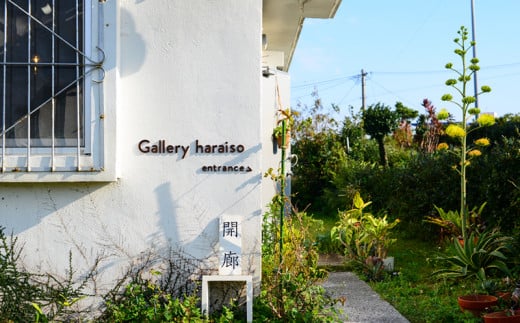 【沖縄のかわいい器】土の種のハリネズミカップ