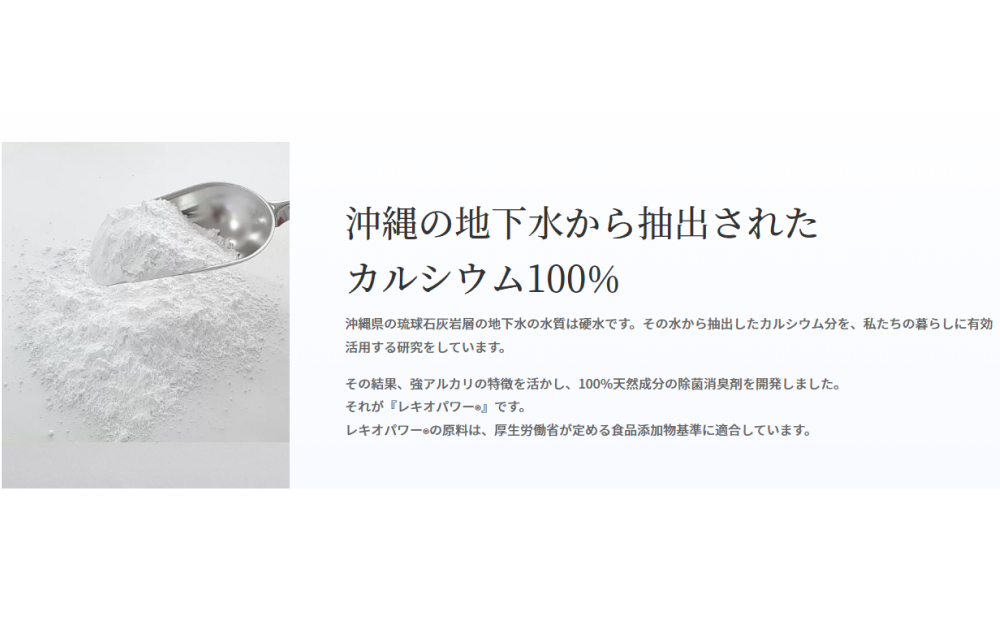 レキオパワー【沖縄県産】除菌スプレー（100ml×5本）