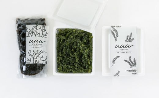 【お手軽沖縄海藻セット】海ぶどう（200g）＆もずく（500g）【2026年4月より順次発送】