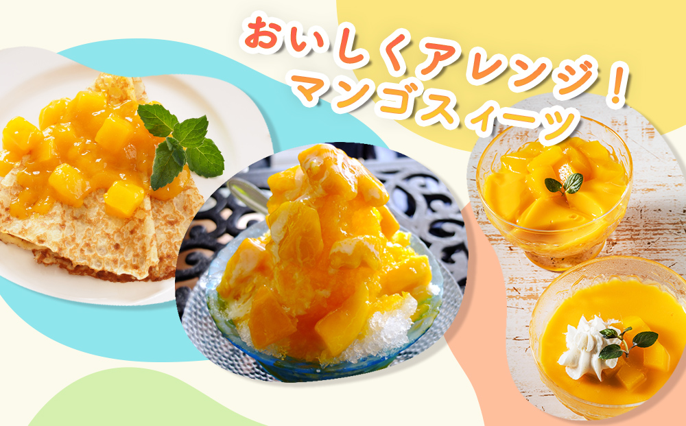 ハナトフルーツ 沖縄県産マンゴーA品 １ｋｇ 【先行予約 2026年発送 】